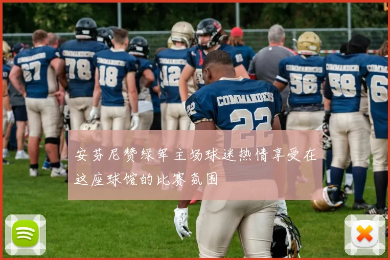 安芬尼赞绿军主场球迷热情享受在这座球馆的比赛氛围