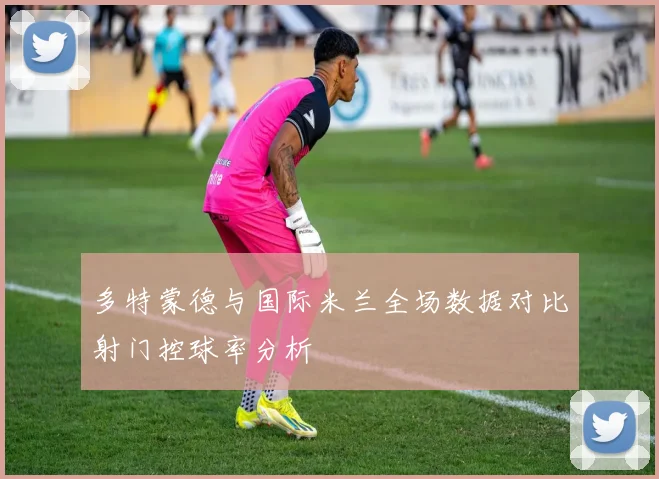 多特蒙德与国际米兰全场数据对比射门控球率分析
